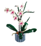Конструктор Orchid (модель 10311) - зображення 2