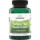 Екстракт гриба траметес різнокольоровий Swanson Turkey Tail Mushroom 500 mg, 120 капсул - зображення 1