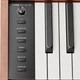 Цифровое пианино Donner DHP-200 PRO Wood (стойка, 3 педали, пюпитр, блок питания) - изображение 5
