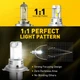 LED автолампи Auxito M16 H4 80W 6000K біле світло - зображення 2