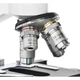 Мікроскоп Bresser Erudit DLX 40-600x (12713) (932377) Bresser 932377 1070317 - зображення 2