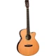 Электроакустическая гитара Tanglewood Trs4 Ce (40426) - изображение 1