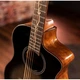 Электроакустическая гитара Washburn Bts9Vcech-D-U (41970) - изображение 9