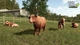 Гра XSX Farming Simulator 25: Highlands Fishing Edition (Blu-ray диск) (4064635510675) - зображення 3