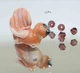 Скляна намистина 24 мм отв: 2мм №5630 ISTA Lampwork - зображення 2