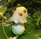 Стеклянная бусина 26 мм отв: 2 мм №922 ISTA Lampwork - изображение 3