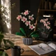 Конструктор Орхідея Botanical Collection, 608 деталей, 18+, декоративна квітка у вазоні - зображення 2