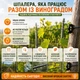 Шпалерний дріт 2.2 мм - 500 метрів для виноградника пластиковий поліестеровий A101172 - изображение 3