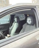 Комплект 2 штуки Чехол на подголовник автомобильного сиденья со страшным бледным лицом и глазами в авто Универсальный размер Черный - изображение 11