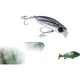 Приманка Guowangluya Rice Micro Slow Sinking Minnow 2.6g для окуня Topmouth Culter Baitiao Redeye Bass Bait - зображення 3