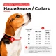 Ошейник для собак нейлоновый WAUDOG Nylon Recycled, XL, 25 мм, 37–58 см, салатовый градиент, с QR-паспортом, пластиковый фастекс — арт. 47035 - изображение 2