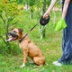 Повідець-рулетка для собак WAUDOG R-leash з контейнером для пакетів, світловідбивна стрічка, L, до 40 кг, 5 м, чорний - зображення 6