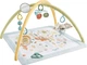 Ігровий килимок для новонароджених Фішер прайс Розвиваємо почуття Fisher-Price Baby Playmat Simply Senses Newborn Gym (HRB15) - изображение 5