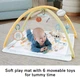 Ігровий килимок для новонароджених Фішер прайс Розвиваємо почуття Fisher-Price Baby Playmat Simply Senses Newborn Gym (HRB15) - изображение 6