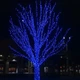 Гирлянда Нить уличная 30 м 300 LED Синяя черный провод гирлянда на улицу 8 режимов работы гирлянда нитка - изображение 2