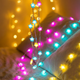 Умная гирлянда Звездочки RGB 10м, 100 LED с Bluetooth и USB - управление с телефона, пульт, музыкальный режим - изображение 1