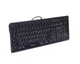 Клавіатура A4Tech FX60 USB (Grey) White backlit Fstyler, сірий колір, USB, біле підсвічування - зображення 3