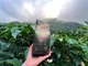Кофе в зернах GS COFFEE, NATURAL обработка, Средняя степень обжарки, SCA 86+, Дота, Тарразу, Коста-Рика, 250 г - изображение 4