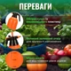 Обприскувач помповий для рослин 3 л жовтогарячий (RG1003) - зображення 2