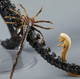 Фигурка Alien Romulus Scorched Xenomorph 25 см — Коллекционная игрушка-монстр Чужой Ромул в подарочной упаковке - изображение 10