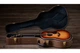 Электроакустическая гитара TAYLOR GUITARS Gold Label 717e Sunburst Firestripe Pickguard - изображение 6