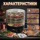Сушилка-дегидратор для овощей и фруктов Zepline ZP-029 5 Ярусов Мощность 800 Вт 35-70 °C - изображение 3