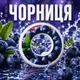 Ароматическая капсула для бутылки Air Up, вкус Черника, форма Полумесяц - изображение 2