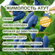 Саженцы жимолости съедобной Атут - поздняя, урожайная, зимостойкая - изображение 2