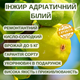 Саженцы Инжира Адриатический белый (Adriatic white) - ремонтантный, самоплодный, скороплодный - изображение 4