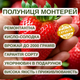 Саженцы клубники (рассада) Монтерей (Monterey) ремонтантная - изображение 6