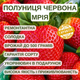 Саджанці полуниці (розсада) Червона Мрія - ремонтантна, солодка, транспортабельна - изображение 5