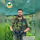 Саджанці Вейгели квітучої Олександра (Weigela florida Alexandra) Р9 - зображення 5