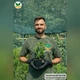 Саджанці Спіреї японської Альбіфлора (Spiraea japonica Albiflora) Р9 - зображення 5