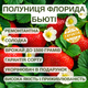 Саджанці полуниці в касеті Флорида Бьюті (Florida Beauty) - ремонтантна, крупноплідна, соковита (в касеті) + Подарунок - зображення 4