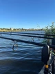 Карповий набір Carp Force Feima FOS 3.9 м 3.5 lb на 3 вудлища з котушками LM 8000 та род-подом - зображення 7