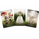 Карти Оракул Пори року відьми Бельтайн Seasons of the Witch Beltane Oracle магічна колода 44 карти - зображення 3