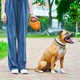 Поводок-рулетка для собак WAUDOG R-leash с контейнером для пакетов, светоотражающая лента, L, до 40 кг, 5 м, оранжевый - изображение 1