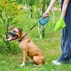 Повідець-рулетка для собак WAUDOG R-leash з контейнером для пакетів, світловідбивна стрічка, L, до 40 кг, 5 м, блакитний - зображення 5
