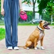 Поводок-рулетка для собак WAUDOG R-leash с контейнером для пакетов, светоотражающая лента, L, до 40 кг, 5 м, розовый - изображение 1