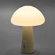 LED настольная лампа с аккумулятором VIDEX VL-TF25BG 4W 3000-6500K+RGB Beige 29236 - изображение 8