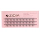 ZIDIA Cluster lashes Вії пучкові 10D C 0,10х10 mm, 3 стрічки - изображение 2