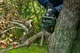Акумуляторна ланцюгова пила Husqvarna Aspire C15X-P4A KIT акб 4 Ah (9707205-04) - зображення 5