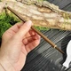 Кисть для каллиграфии и живописи из ворса колонка Тонкая кисть 3см - изображение 3