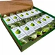 Цукерки Яблуко в шоколадній глазурі з арахісом LAGOM Family Garden Apple 1,2 кг (1646) - изображение 4