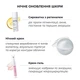 Комплекс ночного антивозрастного ухода для упругости и обновления кожи Сыворотка, Крем гель HiLLARY K-11-899 - изображение 3