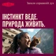 Сухий корм Carnilove Active з лососем та індичкою для кошенят усіх порід, 400 г - зображення 7