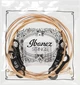 Струни для акустичних гітар IBANEZ IACSP6C ACOUSTIC GUITAR STRING 12-53 COATED (301877) - изображение 3