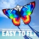 Большой воздушный змей "Яркий Бабочка" Beautiful Sparkling Butterfly Kite (для детей и взрослых, с каркасом из стекловолокна) - изображение 3