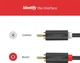 Аудио кабель Ugreen AV104 2RCA Male to 2RCA Male Cable 2 м Black (UGR-10518) - изображение 9
