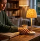 Ночник с проекцией океана DL 412 LED лампа с пультом RGB-подсветкой - изображение 4